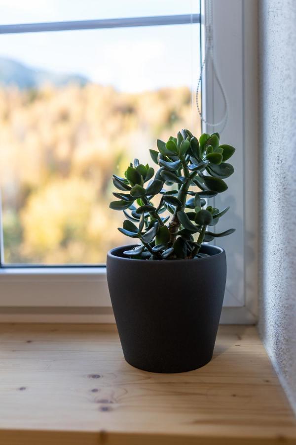 Vila Vlasta Apt. #401 Vysoke Tatry Ngoại thất bức ảnh